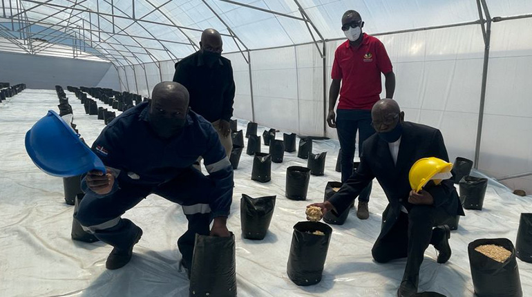 MOGALE CITY TEAMS UP WITH CATHEDRAL GROUP TO UPLIFT EMERGING FARMERS