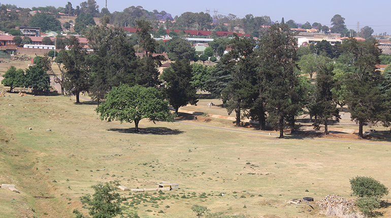 Buy your Coronation Park ticket now!